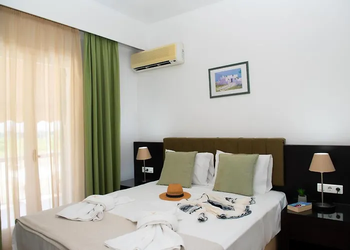 公寓 莉莉别墅酒店 *